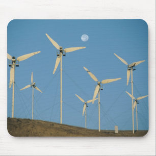 USA, Kalifornien, Altamont Pass, vindgeneratorer. Musmatta