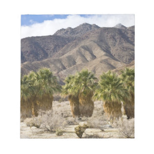USA, Kalifornien, Anza-Borrego Desert State Park. Anteckningsblock