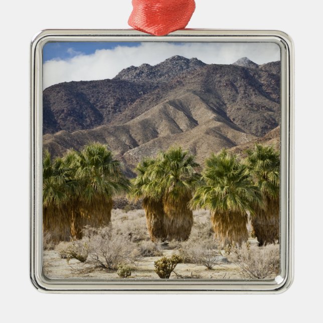 USA, Kalifornien, Anza-Borrego Desert State Park. Julgransprydnad Metall (Framsidan)