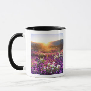 USA, Kalifornien, Anza-Borrego Desert State Park. Mugg