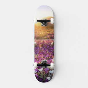 USA, Kalifornien, Anza-Borrego Desert State Park.  Old School Skateboard Bräda 21,6 Cm