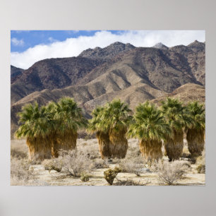 USA, Kalifornien, Anza-Borrego Desert State Park. Poster