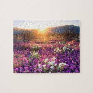 USA, Kalifornien, Anza-Borrego Desert State Park. Pussel