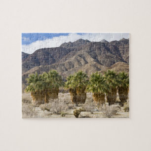 USA, Kalifornien, Anza-Borrego Desert State Park. Pussel