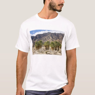 USA, Kalifornien, Anza-Borrego Desert State Park. Tee