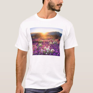 USA, Kalifornien, Anza-Borrego Desert State Park. Tee Shirt