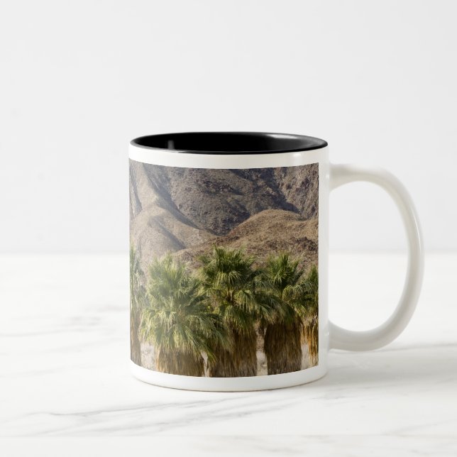 USA, Kalifornien, Anza-Borrego Desert State Park. Två-Tonad Mugg (Höger)
