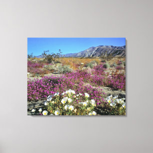USA, Kalifornien, Anza-Borrego DSP. Dune kväll Canvastryck