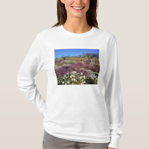 USA, Kalifornien, Anza-Borrego DSP. Dune kväll T Shirt