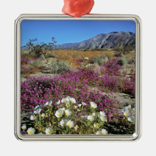 USA, Kalifornien, Anza-Borrego DSP. Sanddynkväll Julgransprydnad Metall