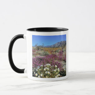 USA, Kalifornien, Anza-Borrego DSP. Sanddynkväll Mugg