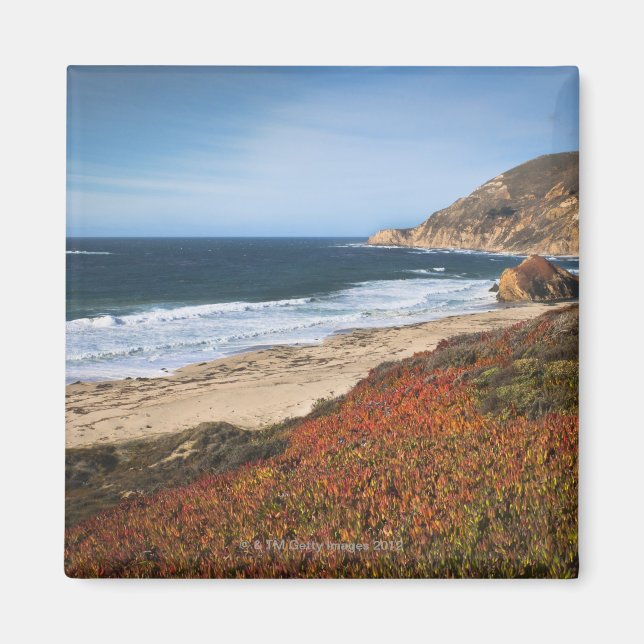 USA, Kalifornien, Big Sur, Red Plantor by strand Magnet (Framsidan)
