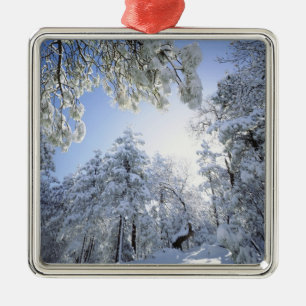USA, Kalifornien, Cleveland National Forest, Julgransprydnad Metall