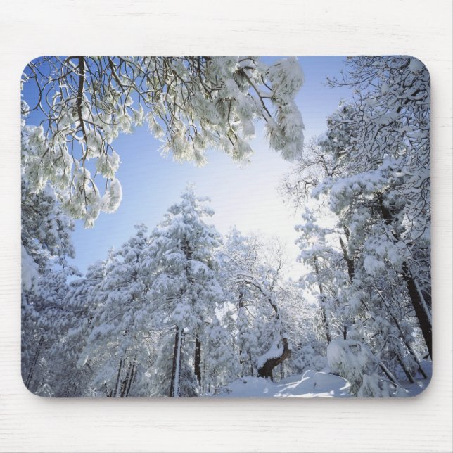 USA, Kalifornien, Cleveland National Forest Musmatta (Framsidan)