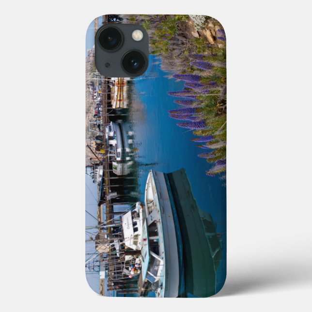 USA, Kalifornien. Dockade båtar i Morro Bay (Baksida)