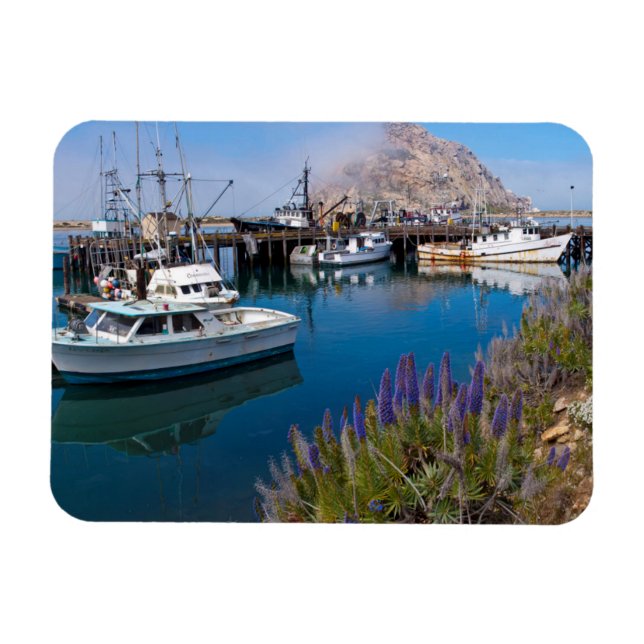 USA, Kalifornien. Dockade båtar i Morro Bay Magnet (Horisontell)