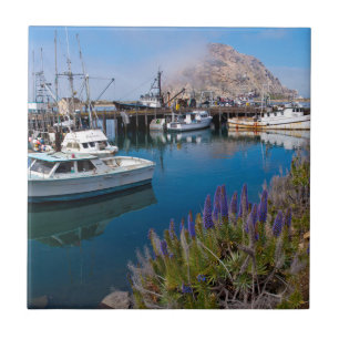 USA, Kalifornien. Förtöjda båtar vid Morro Bay Kakelplatta