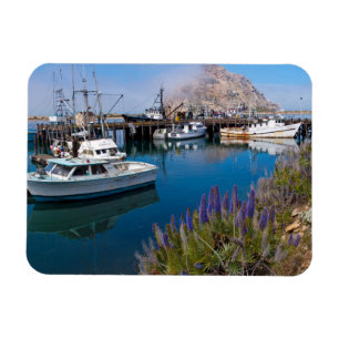 USA, Kalifornien. Förtöjda båtar vid Morro Bay Magnet
