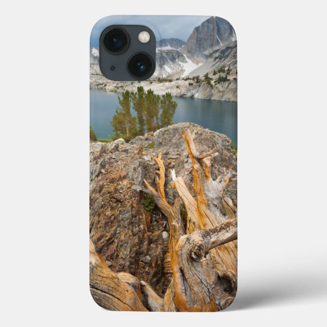 USA, Kalifornien, Inyo National Forest. (Baksida)