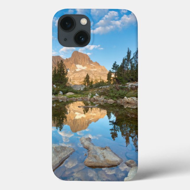 USA, Kalifornien, Inyo National Forest. 2 (Baksida)