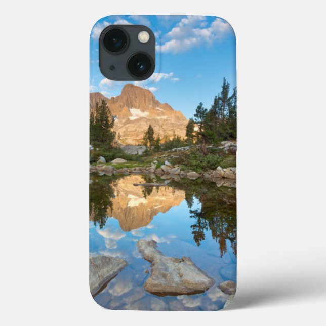 USA, Kalifornien, Inyo National Forest. 2 (Baksida)