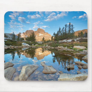 USA, Kalifornien, Inyo National Forest. 2 Musmatta
