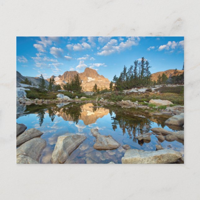 USA, Kalifornien, Inyo National Forest. 2 Vykort (Framsida)