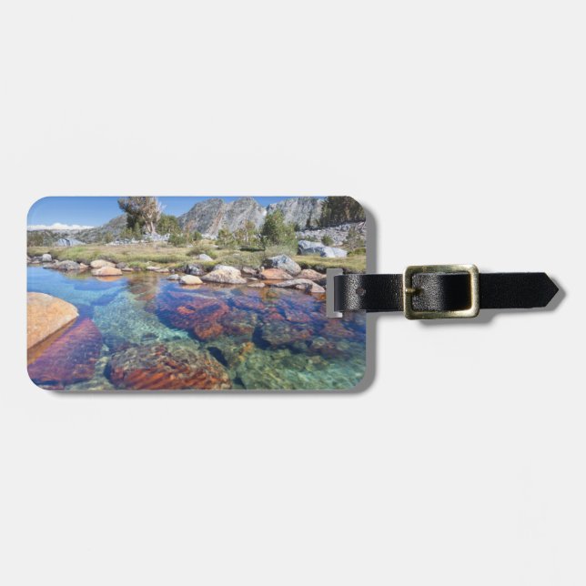 USA, Kalifornien, Inyo National Forest 4 Bagagebricka (Horisontell Framsida)