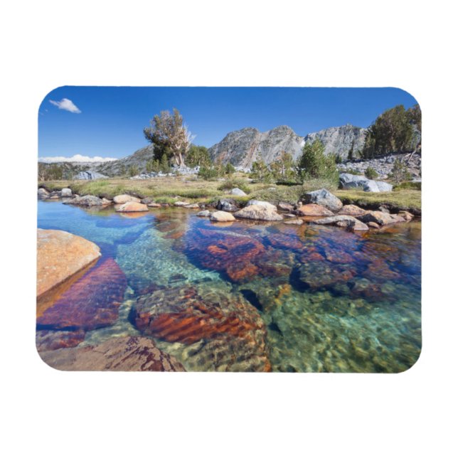 USA, Kalifornien, Inyo National Forest 4 Magnet (Horisontell)