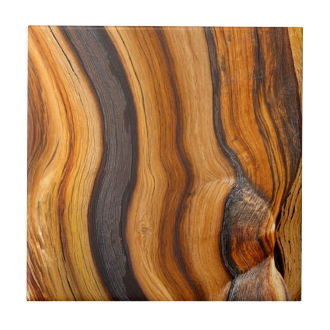 USA, Kalifornien, Inyo National Forest 7 Kakelplatta (Framsidan)