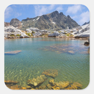 USA, Kalifornien, Inyo National Forest 8 Fyrkantigt Klistermärke