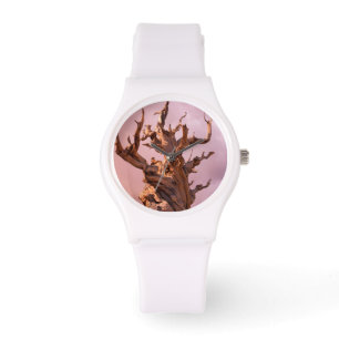 USA, Kalifornien, Inyo National Forest 9 Armbandsur