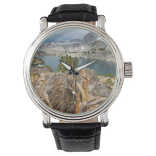 USA, Kalifornien, Inyo National Forest. Armbandsur
