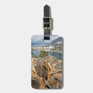 USA, Kalifornien, Inyo National Forest. Bagagebricka