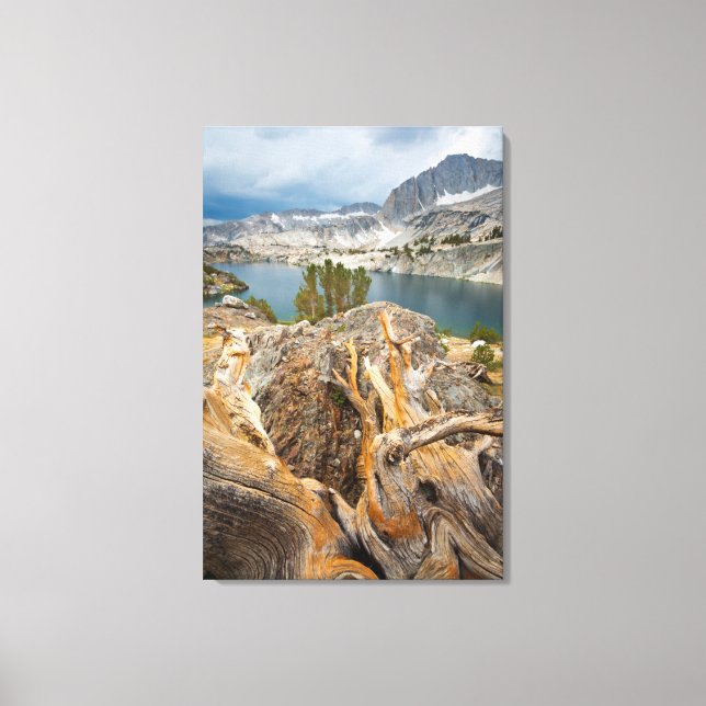 USA, Kalifornien, Inyo National Forest. Canvastryck (Framsida)