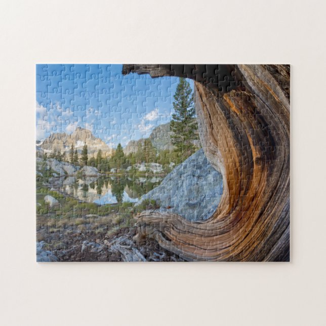 USA, Kalifornien, Inyo National Forest. Gamla Gräs Pussel (Horisontell)