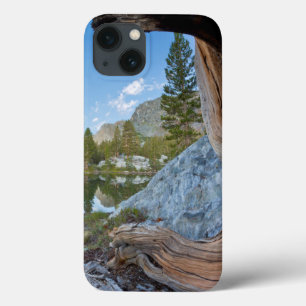 USA, Kalifornien, Inyo National Forest. Gammal tal