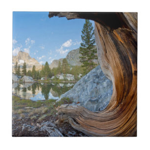 USA, Kalifornien, Inyo National Forest. Gammal tal Kakelplatta