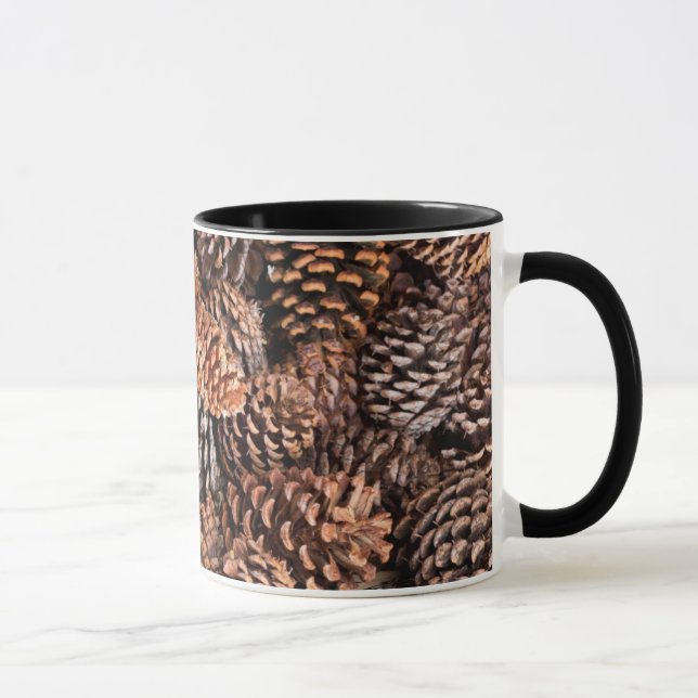 USA, Kalifornien, Inyo National Forest Mugg (Höger)