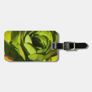 USA, Kalifornien. Jätte-Lobelia-växt närbild Bagagebricka