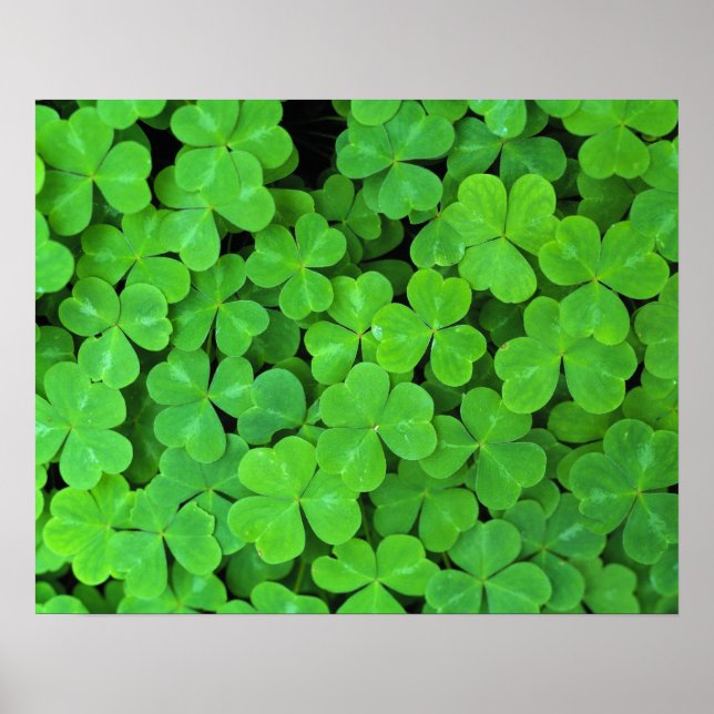 USA, Kalifornien, Jedediah Smith Rewood SP. Poster (Framsidan)