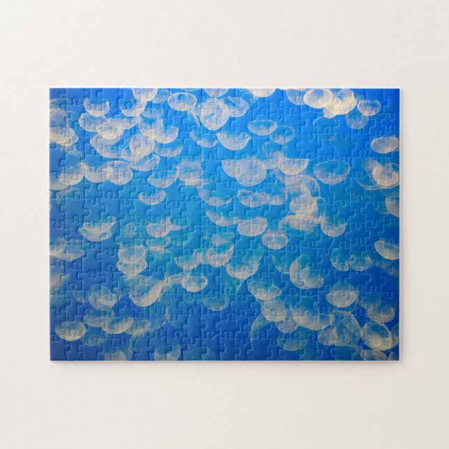 USA, Kalifornien. Jellyfish in the Monterey Bay Pussel (Horisontell)