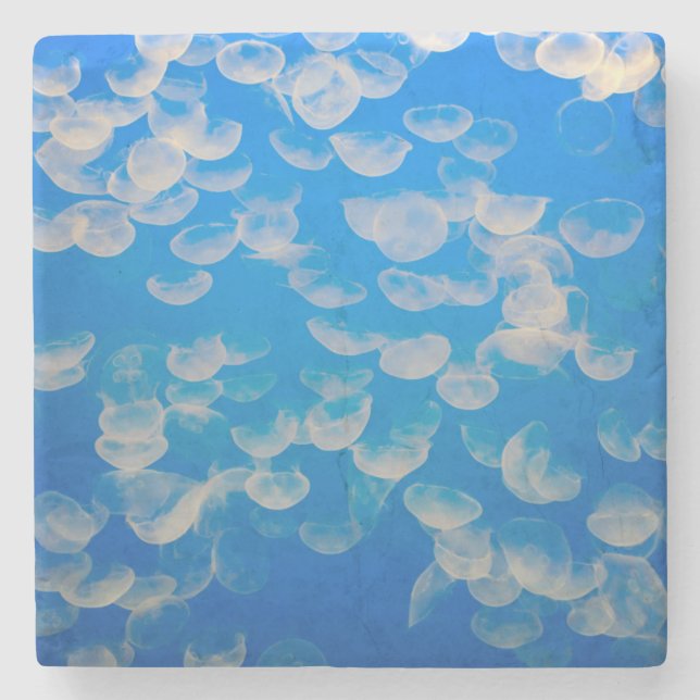 USA, Kalifornien. Jellyfish in the Monterey Bay Underlägg Sten (Framsidan)