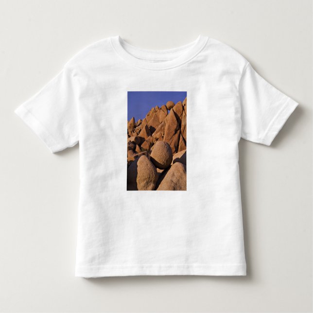 USA, Kalifornien, Joshua Träd National Park. T-shirt (Framsida)