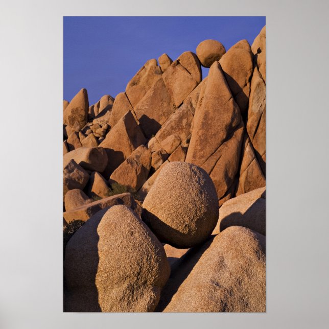 USA, Kalifornien, Joshua Träd nationalpark. Poster (Framsidan)