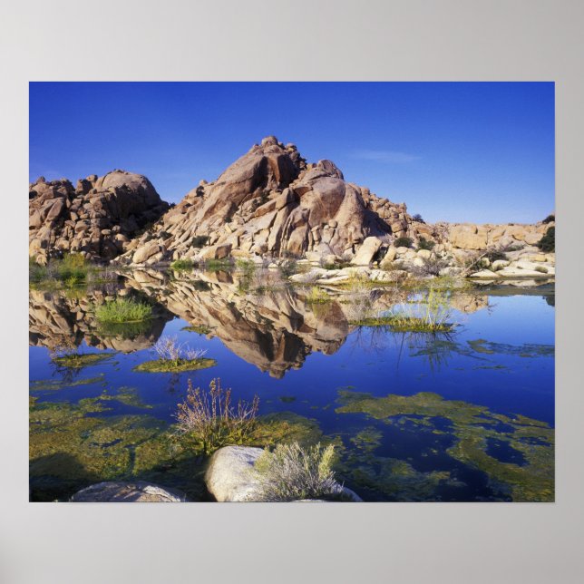 USA, Kalifornien, Joshua Träd nationalpark Poster (Framsidan)