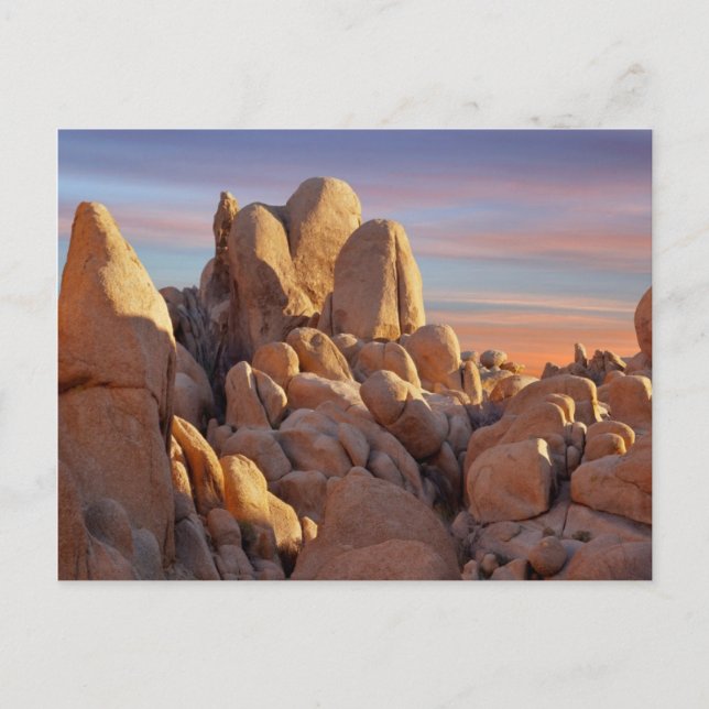 USA, Kalifornien, Joshua Träd nationalpark Vykort (Framsida)