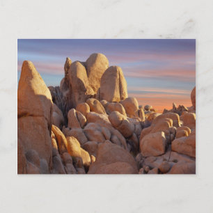 USA, Kalifornien, Joshua Träd nationalpark Vykort