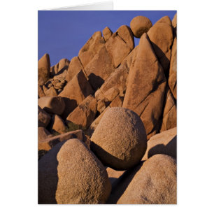 USA, Kalifornien, Joshua Tree National Park. Hälsningskort