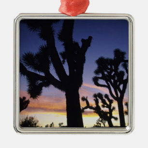 USA, Kalifornien, Joshua Tree National Park, Julgransprydnad Metall